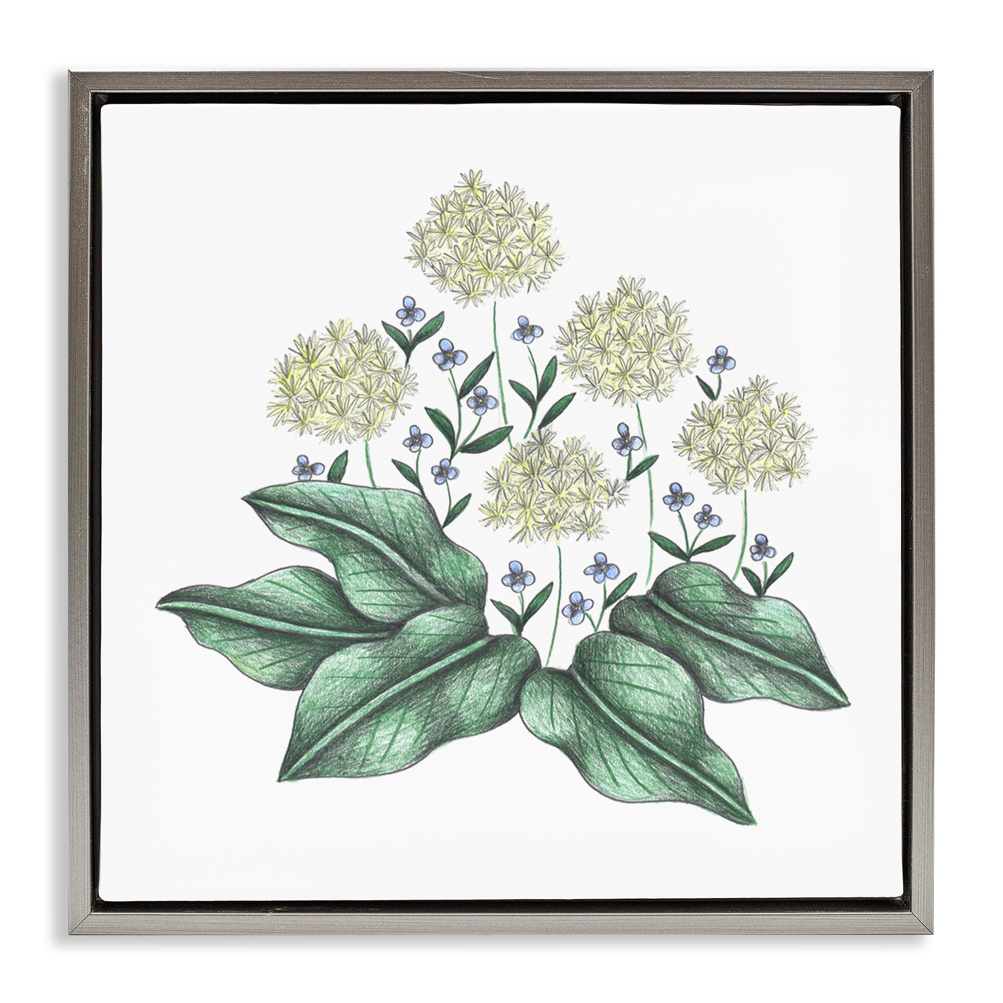 Hello Wildflower Vintage Sketch Gray Framed Floater Canvas Wall Art, design by Cecilia Battaini