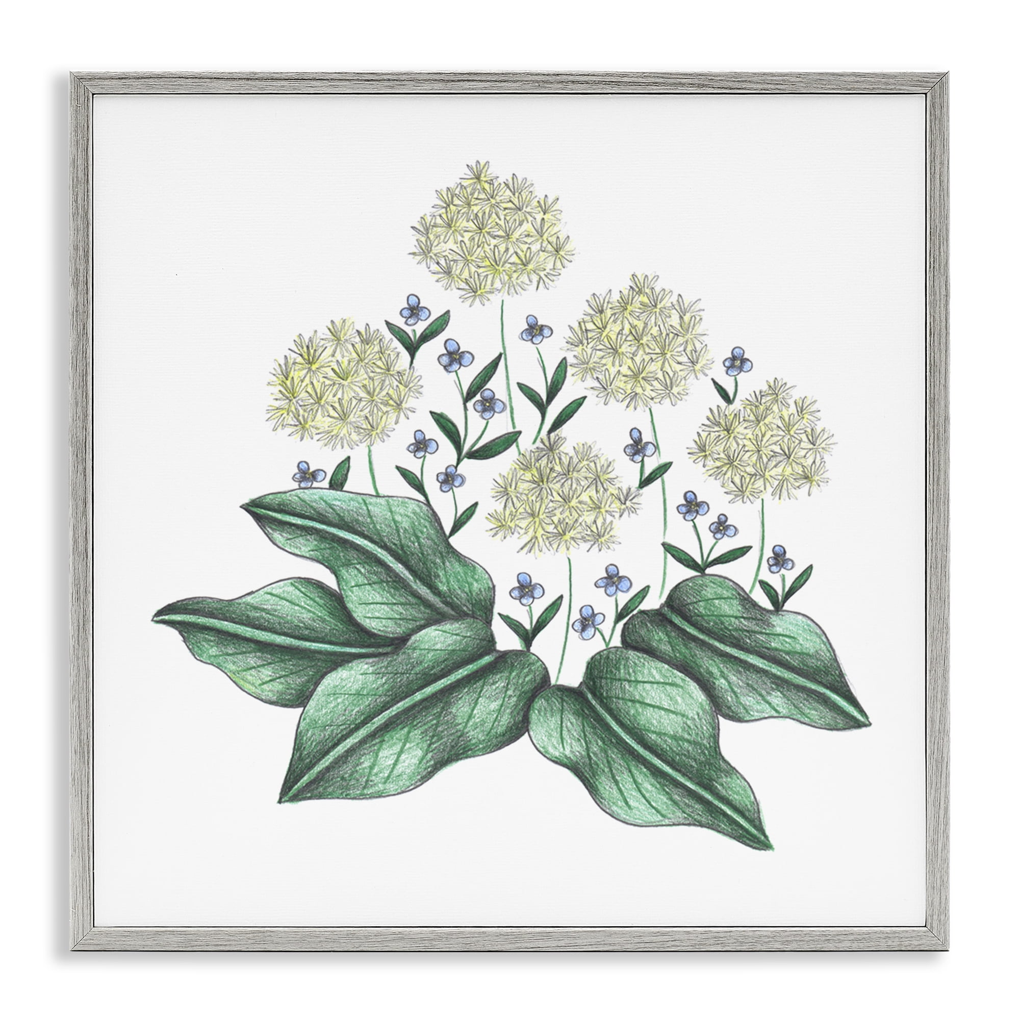 Hello Wildflower Vintage Sketch Gray Framed Giclee Art, design by Cecilia Battaini