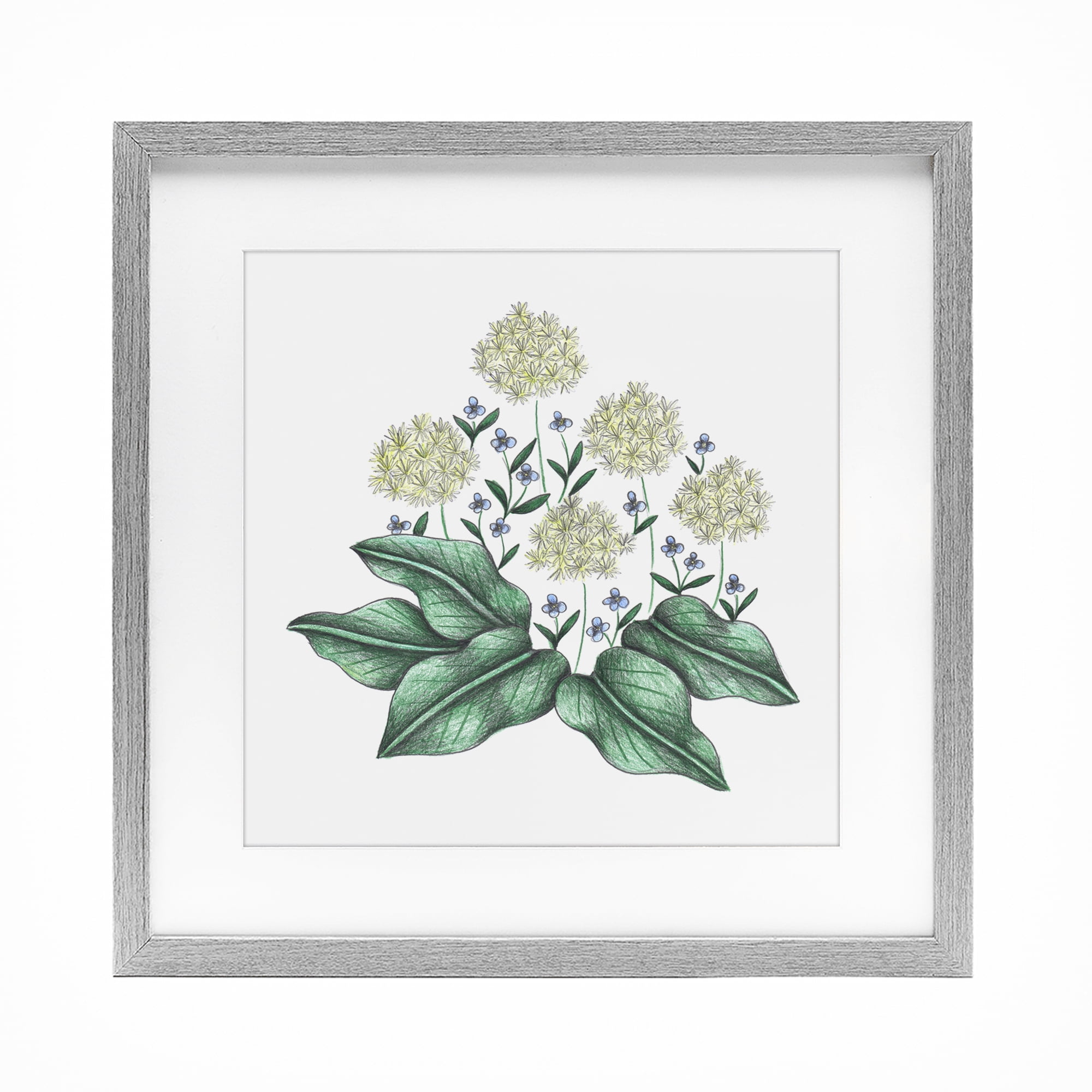 Hello Wildflower Vintage Sketch Gray Framed Print Under Glass, design by Cecilia Battaini