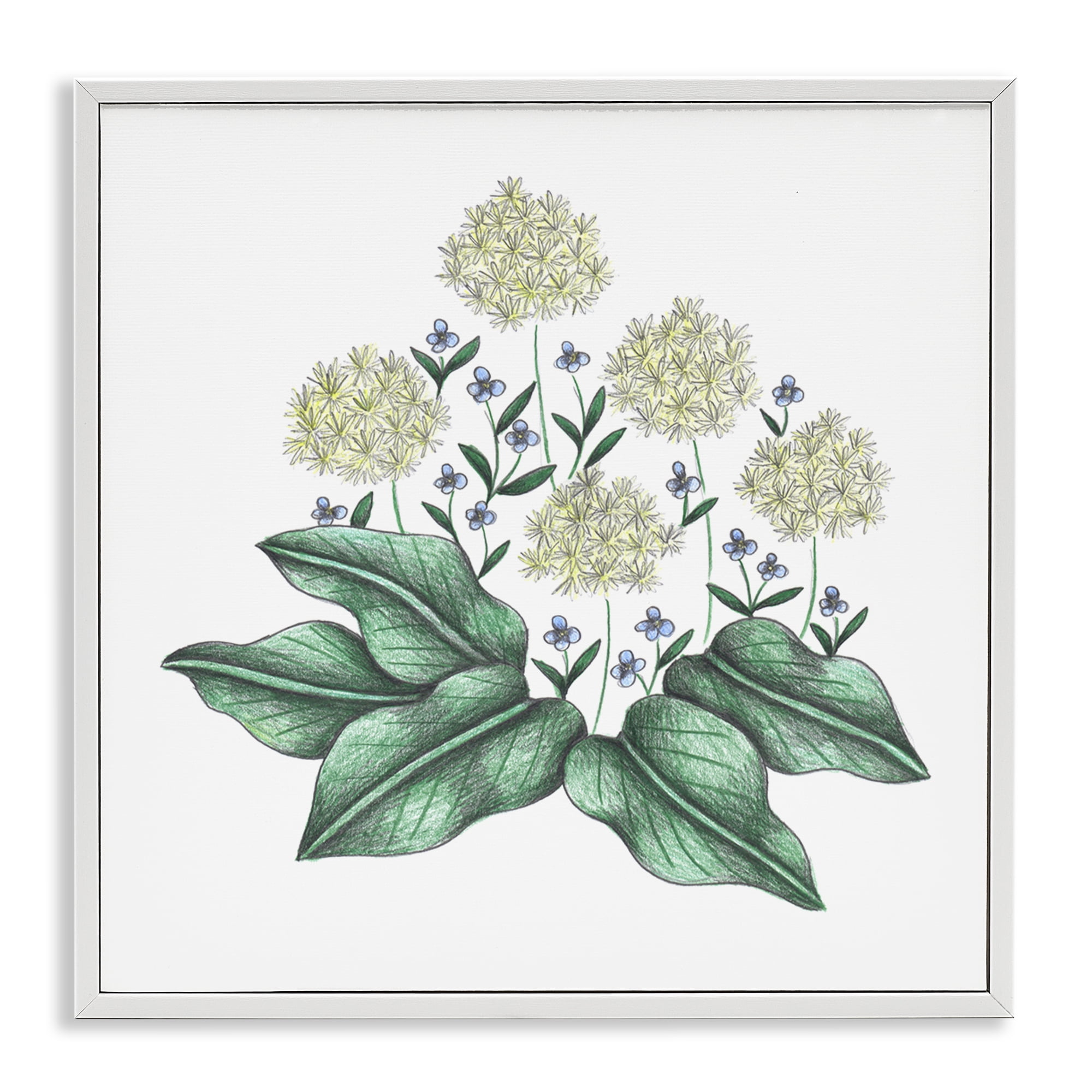 Hello Wildflower Vintage Sketch White Framed Giclee Art, design by Cecilia Battaini