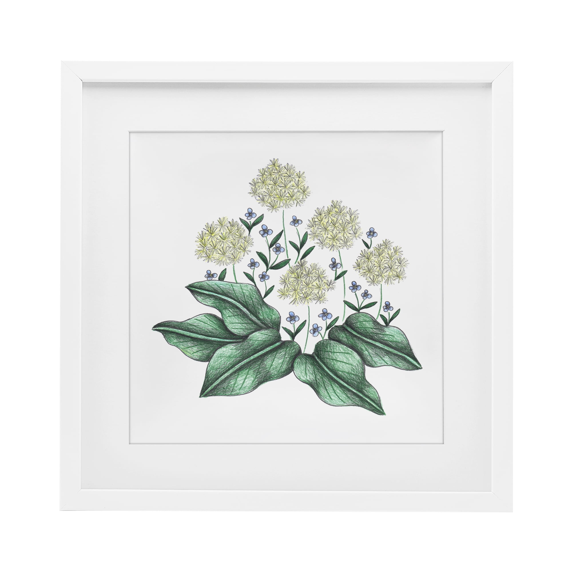 Hello Wildflower Vintage Sketch White Framed Print Under Glass, design by Cecilia Battaini