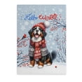 thumbnail image 1 of Hello Winter Bernese Mountain Dog Smiling in Red Scarf Hat Welcome Christmas Vertical Matte Canvas Poster Berner Lover Gifts Wall Art Home Decor - 00017, 1 of 5