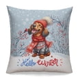 thumbnail image 1 of Hello Winter Dachshund Smiling in Red Scarf Hat Welcome Christmas Pillowcase Double Sided Wiener Dog Lover Gifts Idea Pillow Case Covers - 00017, 1 of 3