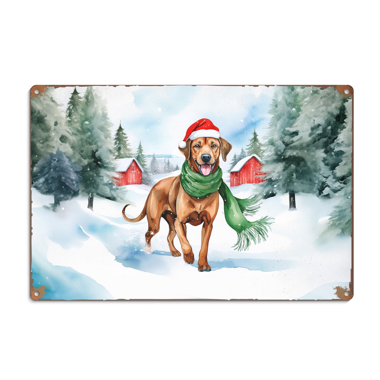 Hello Winter Rhodesian Ridgeback Frosty Morning Walk Welcome Snowy ...