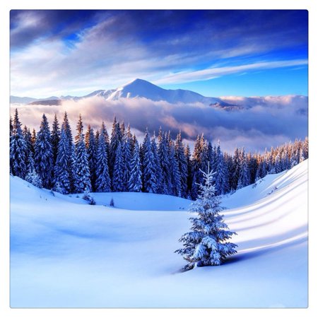 HelloDecor White Snow Backdrops for Photography 7x5ft Forest Tree Winter Background Christmas Outdoor Wedding Photo Booth Props