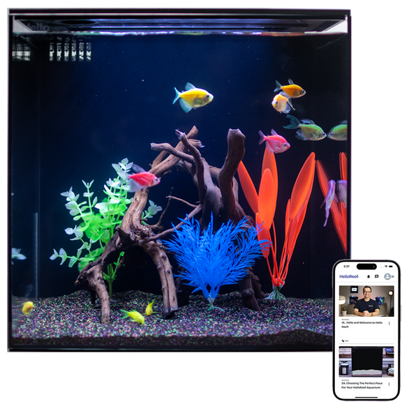 HelloReef 15 Gallon GloFish Complete Freshwater Aquarium Kit with App Controlled Smart LED Lighting, Filtration, GloFish Decor, and Guided Online Learning Center