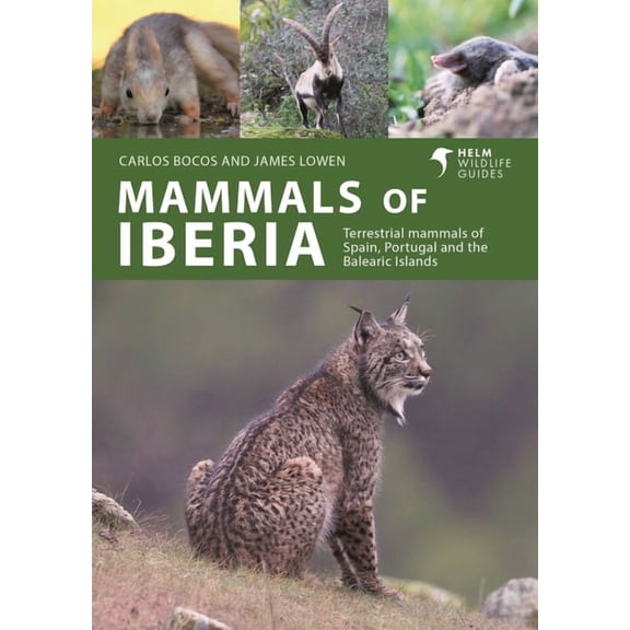Helm Wildlife Guides Mammals of Iberia: Terrestrial Mammals of Spain, Portugal and the Balearic Islands, (Paperback)