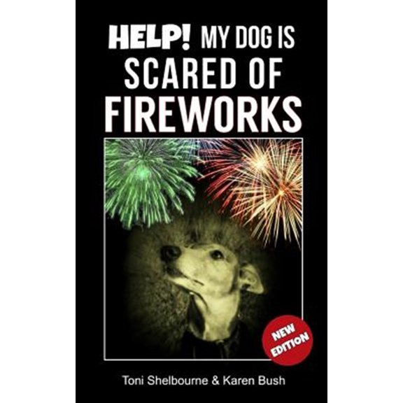 Help! My Dog Is Scared of Fireworks