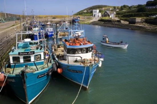 Helvick Harbour Ring Gaeltacht Region County Waterford Ireland Canvas Art - Panoramic Images (24 x 16)