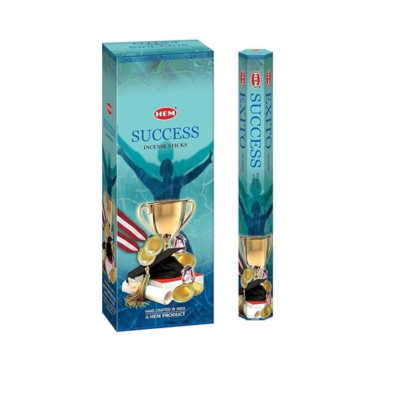 Hem Success Incense Sticks - 120 Stick Bulk Box (6 Inner Tubes of 20)