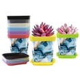 thumbnail image 1 of HemaKayy Decorative Planter Pot Set - Perfect for Small Plants - Colorful Design With Drainage Hole - Ideal for Home and Garden Decor - Set of 8 - Unique Marble Texture, 1 of 6