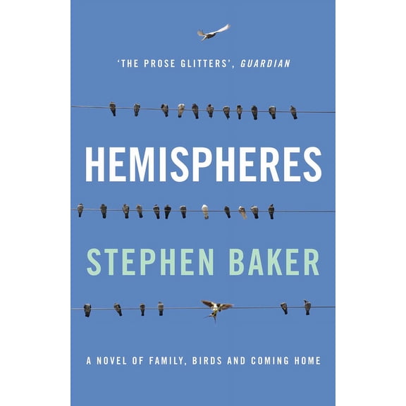 Hemispheres : A Novel of Family, Birds and Coming Home (Paperback)