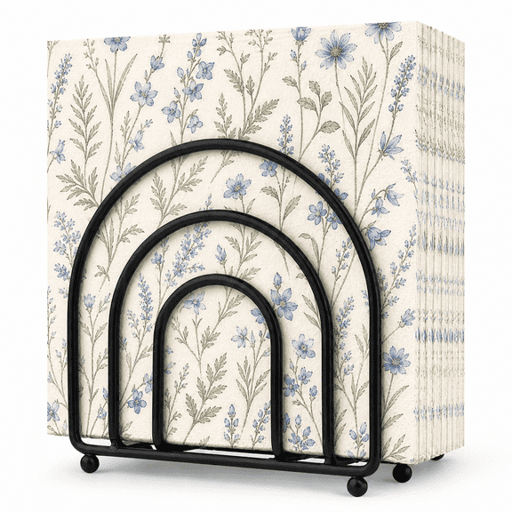 Hemivara Black Metal Napkin Holder for Table, Modern Arch Paper Napkin Holder Stand for Kitchen Countertop, 1 Pack