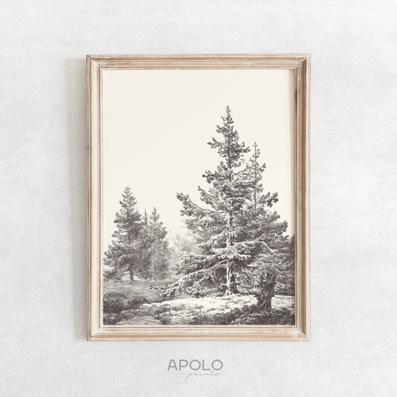 Hemlock Forest Tree Print, Unframed Paper Poster 8x10in