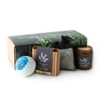 Hemlock Park Artisanal Spa Collection Apothecary Candle, Shea Butter
