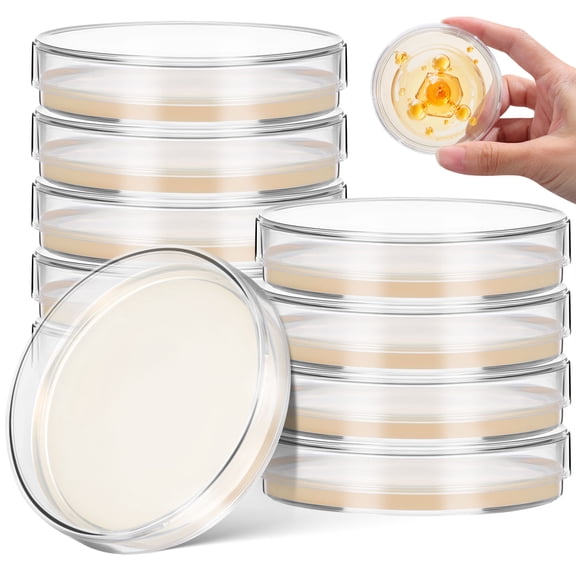 Hemobllo 10pcs Agar Plates Nutrient Transparent Agar for Science Experiment in Classroom Experiments