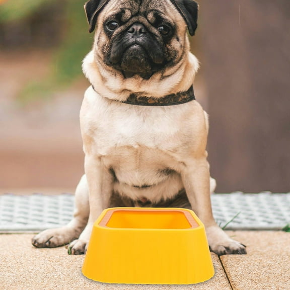 Hemobllo Small Dogs Pet Feeding and Drinking Bowl Cat Feeder Abs Yellow 1Set