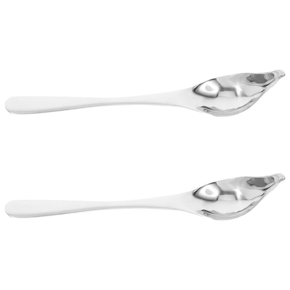 Hemobllo 2Pcs Stainless Steel Decorating Spoons for Chocolate Drizzling and Sauce Pouring