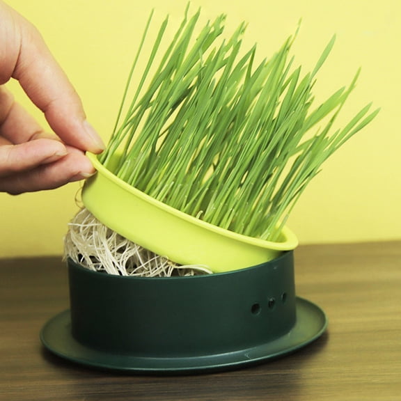 Hemobllo 2Pcs Convenient Cat Grass Box Plastic Material with Ventilation and Water Tray