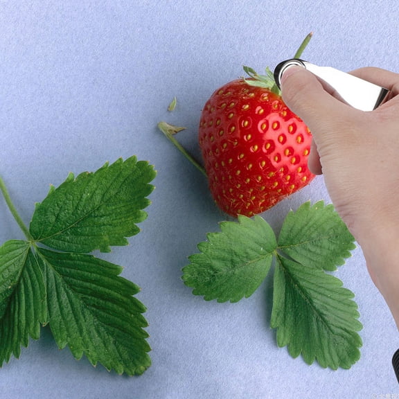 Hemobllo 4Pcs Multifunction Stainless Steel Fruit Stem Remover and Strawberry Huller Set