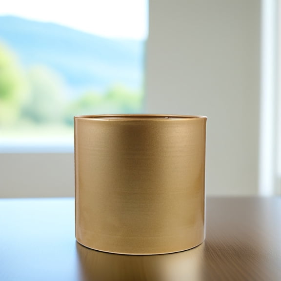 Hemobllo Gold Plant Pot Iron Modern Style 1Pack for Flower Pot Arrangement