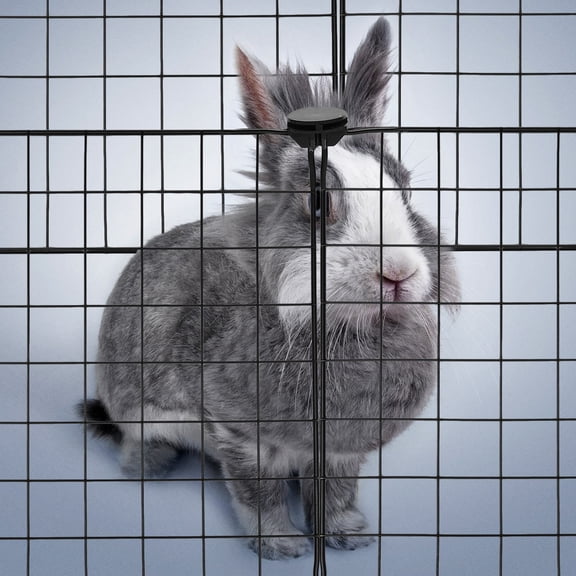 Hemobllo Black Cage for Dog Heavy Duty Slide Bolt Latch Easy to Fold and Store