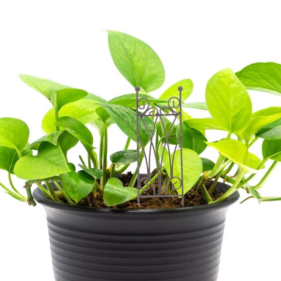 Hemobllo 2Pcs Iron Plant Support Stake Light Brown Decorative Trellis for Indoor Climbing Plants