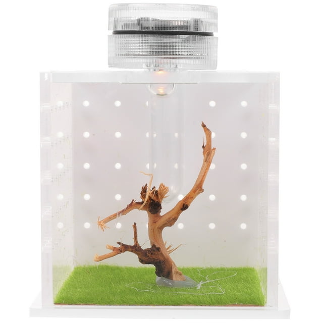 Hemoton 1 Set Transparent Spider Enclosure Box Spider Habitat Box ...