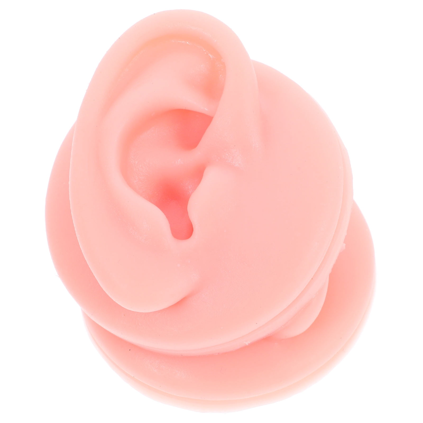 Hemoton 1 pair of Decorative Silicone Ear Models Realistic Human Ear ...