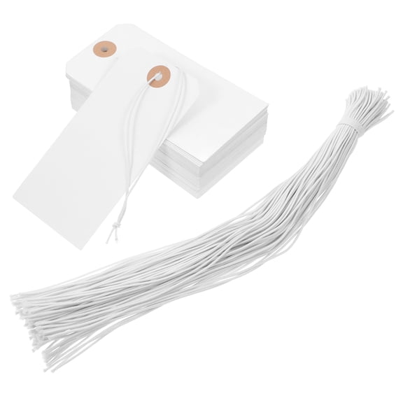 Hemoton 100PCS Blank Label Tags with Wire Versatile Paper Tags for Clothing Shoes Bags