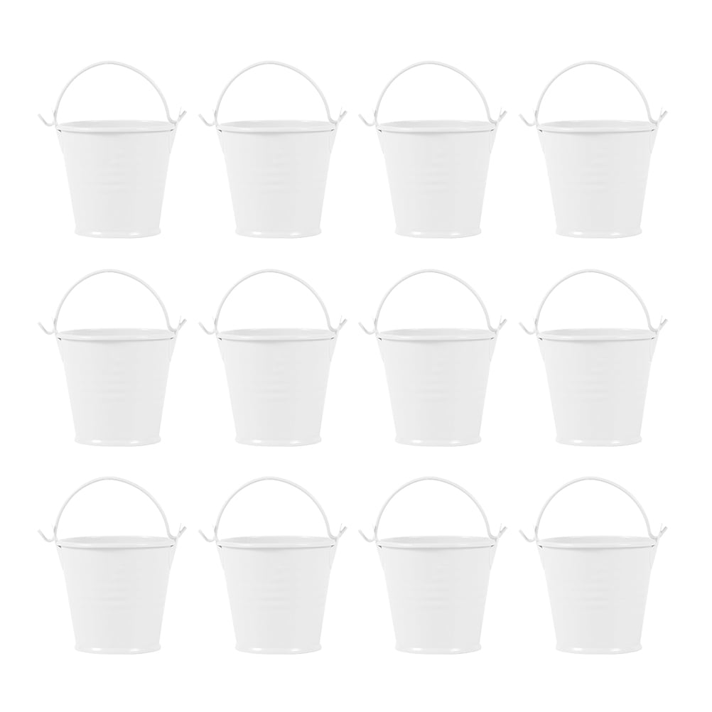 Hemoton 12Pcs Iron Bucket Succulent Plants Bucket Portable Flower