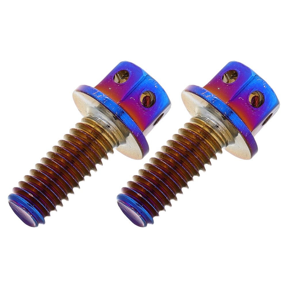 Hemoton 2pcs Custom Motorcycle License Plate Bolts for Automotive Exterior Accessories Security Screws for License Plate Mounting