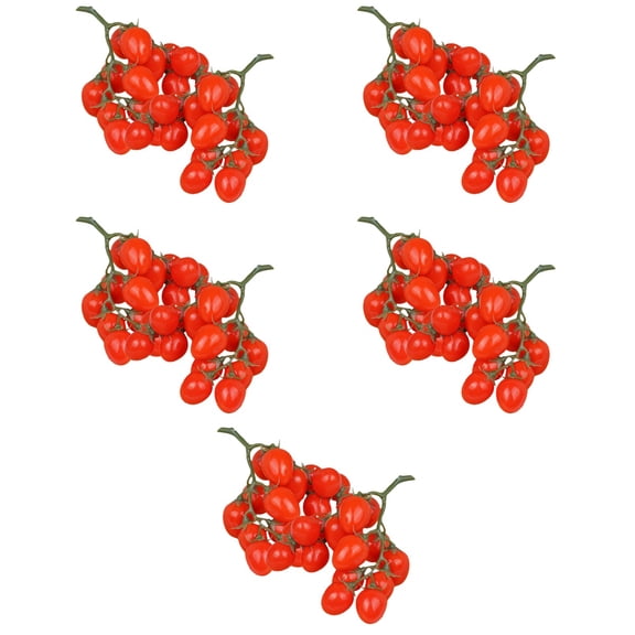 Hemoton 5 Pieces Imitation Tomato Grower Party Tomatillo Models Red