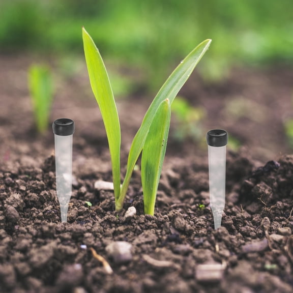 Hemoton 50Pcs Clear Plastic Flower Tubes Pointed Floral Vials Reusable Plastic Flower Stem Water Tubes Floral Arrangement Supplies for Fresh Flowers