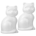 thumbnail image 1 of RENACLIPY White Foam Cat Craft Kit 5 Pieces for Projects and Fun Family Activities, 1 of 8