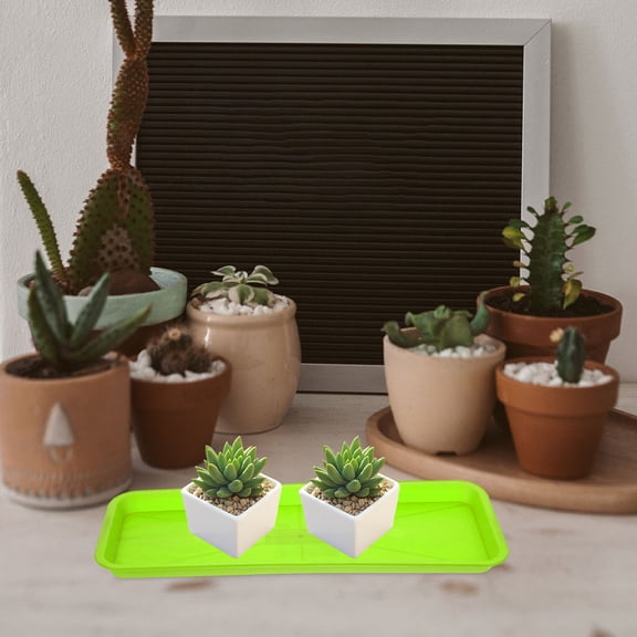 Hemoton Bottom Bracket for Succulent Plants with Water Tray Special Disk in Green PP Material for Daily Use