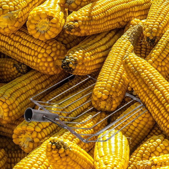 Hemoton Heavy Duty Maize Grain Shovel For Farm Use Suitable For Scooping And Drying Corn Sturdy And Efficient Corn Harvesting Tool