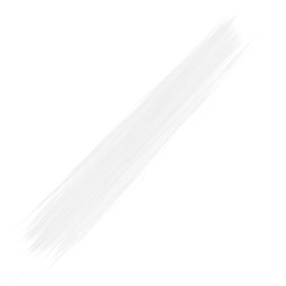 Hemoton Realistic Cat Whiskers Transparent White Pointed Tips Lifelike Animal Whiskers Kit for DIY Puppet Making Craft Projects for Home and Office Decor