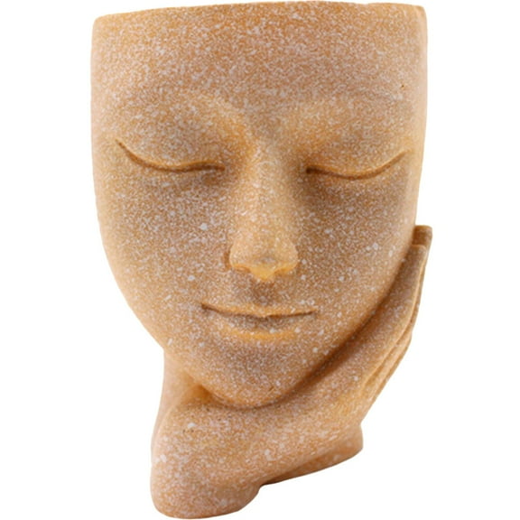 Homoyoyo face planter pot for indoor Decorative Planters Resin Planting Bedroom 1Pack 2.6*3.1*3.5in