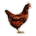 thumbnail image 1 of Hen - 12" Vinyl Sticker Waterproof Decal, 1 of 1