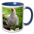 thumbnail image 1 of 3drose, Hen and Chicks, Farm, Lenawee County, Michigan - Us23 Dfr0117 - David R. Frazier, 11oz Two-tone Blue Mug, 1 of 6