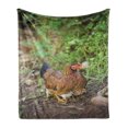 thumbnail image 1 of Hen and Chicks Soft Flannel Fleece Blanket, Domestic Animal Mother Chicken on Her Babies with Herbs Blurred Background, Cozy Plush for Indoor and Outdoor Use, 50" x 70", Multicolor, by Ambesonne, 1 of 5