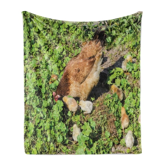 Hen and Chicks Soft Flannel Fleece Throw Blanket, Still Life Photo of Domestic Farm Animals on Shamrock Field, Cozy Plush for Indoor and Outdoor Use, 50" x 70", Apple Green Multicolor, by Ambesonne