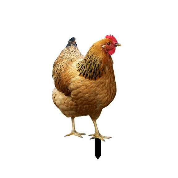 Hen Garden Stake Outdoor Decor, Acrylic Chicken Yard Art Plant Stake for Lawn, Patio & Garden Decoration