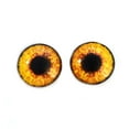 thumbnail image 1 of Hen Harrier Chicken Glass Eyes, 1 of 4