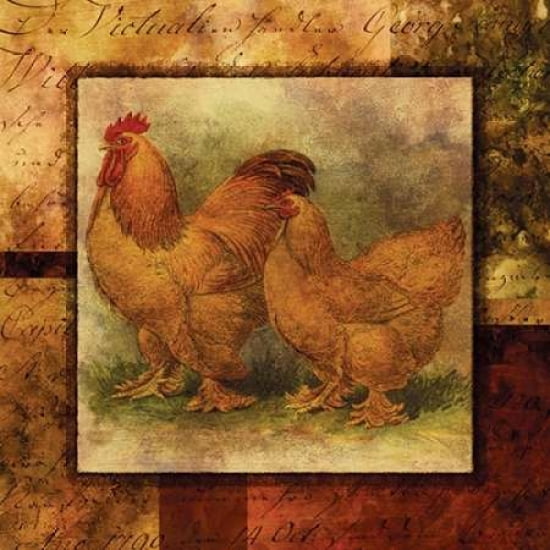 Hen and Rooster II Canvas Art - Studio Voltaire (24 x 24)