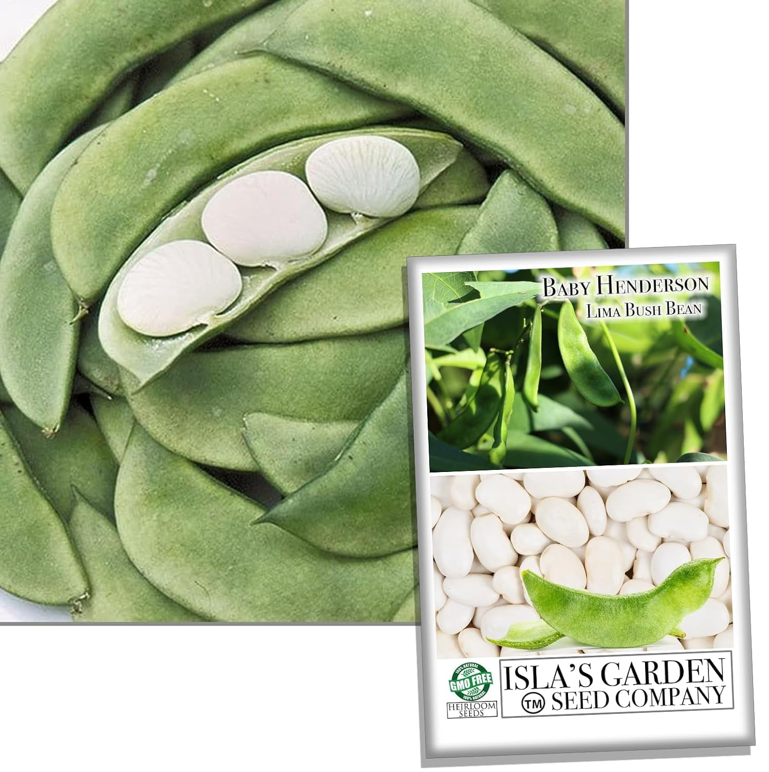 Henderson Baby Lima Beans, 30 Heirloom Seeds Per Packet, Non GMO Seeds