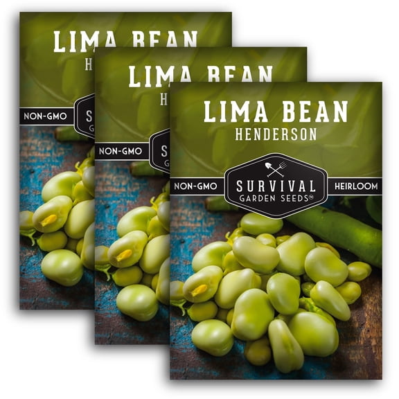 Henderson Lima Bean Seed - Full Sun Annual Vegetable - 3 Packs