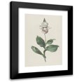 thumbnail image 1 of Hendrik Schwegman 18x24 Black Modern Framed Museum Art Print Titled - Orchid Women's Shoe (Cypripedium Reginae Walter) (1793), 1 of 5
