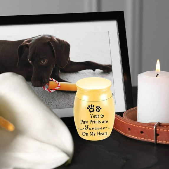 HengDidi Pet Keepsake Memorial Urn in Sealed Aluminum Alloy, Ash Storage Jar for Cats and Dogs with Velvet Bag, 4x3x3cm Size Tribute